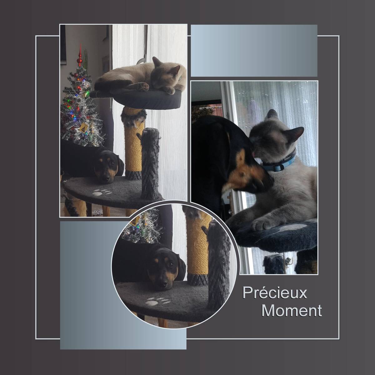 PRECIEUX MOMENT AVEC IZNOGOUD ET FRIPOUILLE