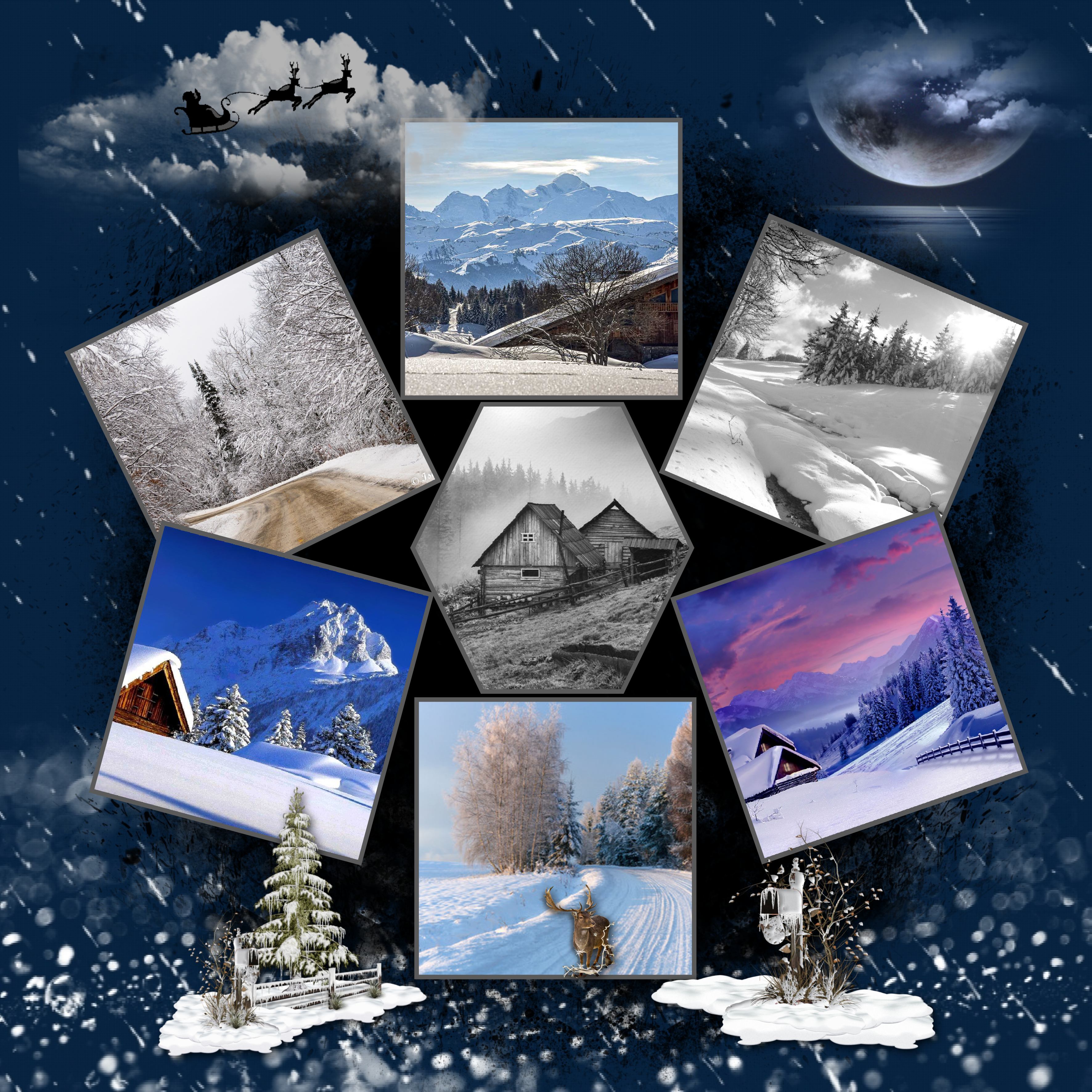 prémices de Noël  Jeannine