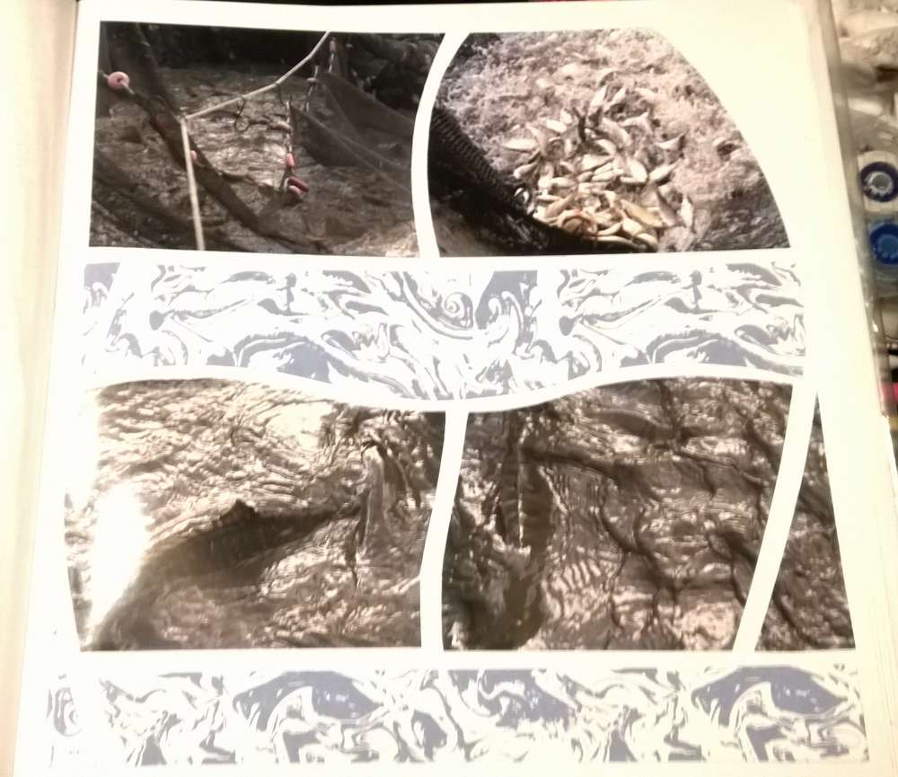 premier brochet dans le filet