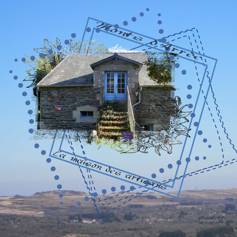 premier défi d'aliselle