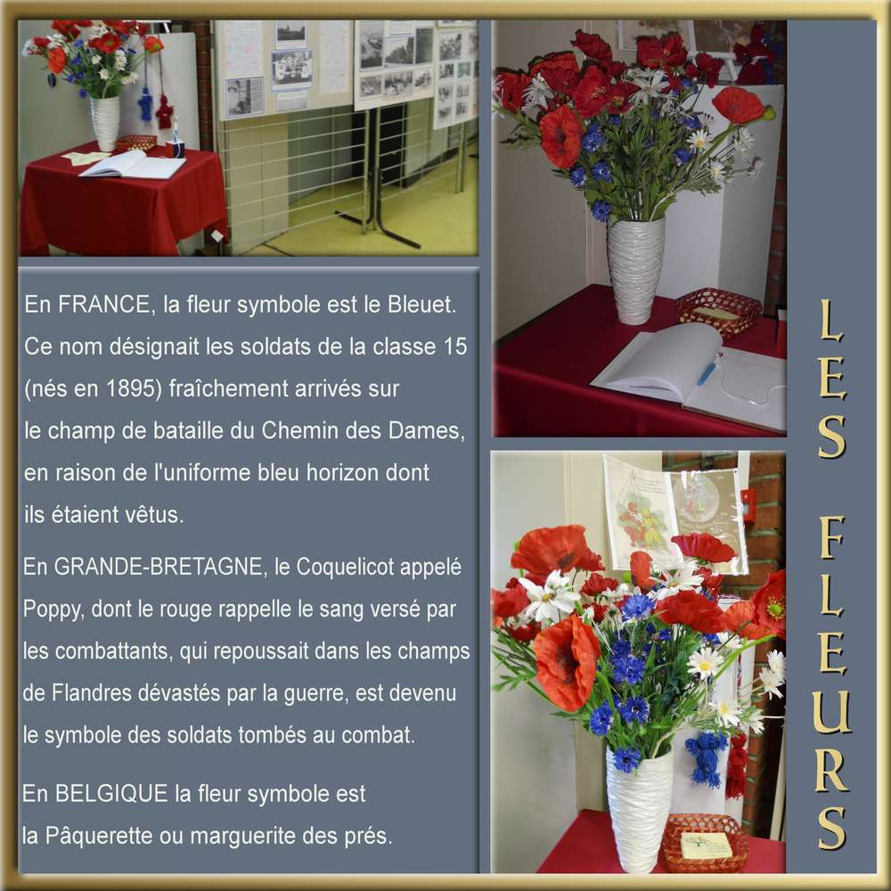 PREMIERE GUERRE MONDIALE - LES FLEURS