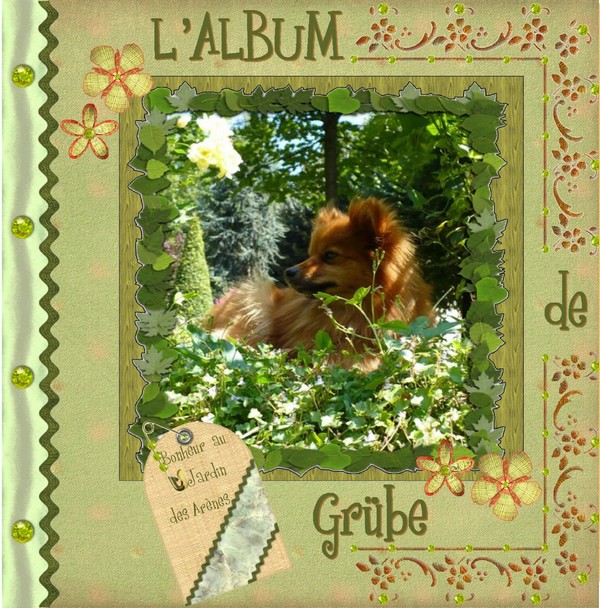 première page d'album