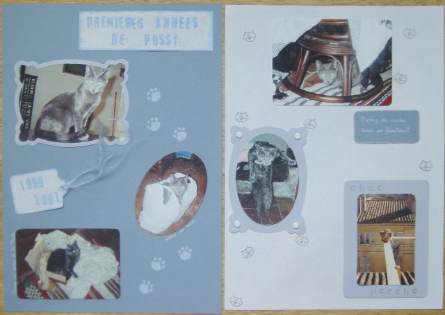Premières années de Pussy