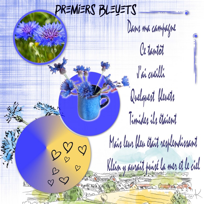 premiers bleuets.jpg
