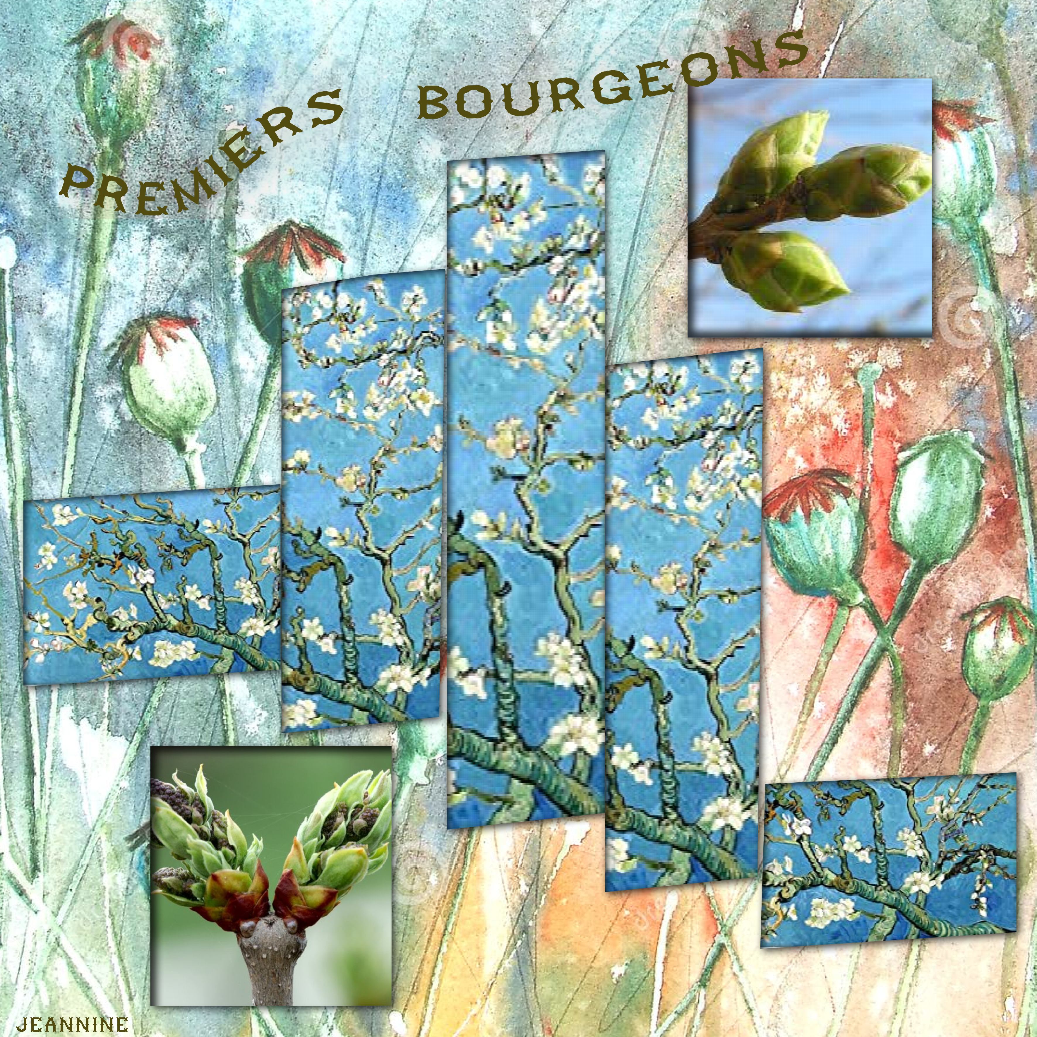 Premiers bourgeons qui annoncent le printemps _Jeannine.jpg