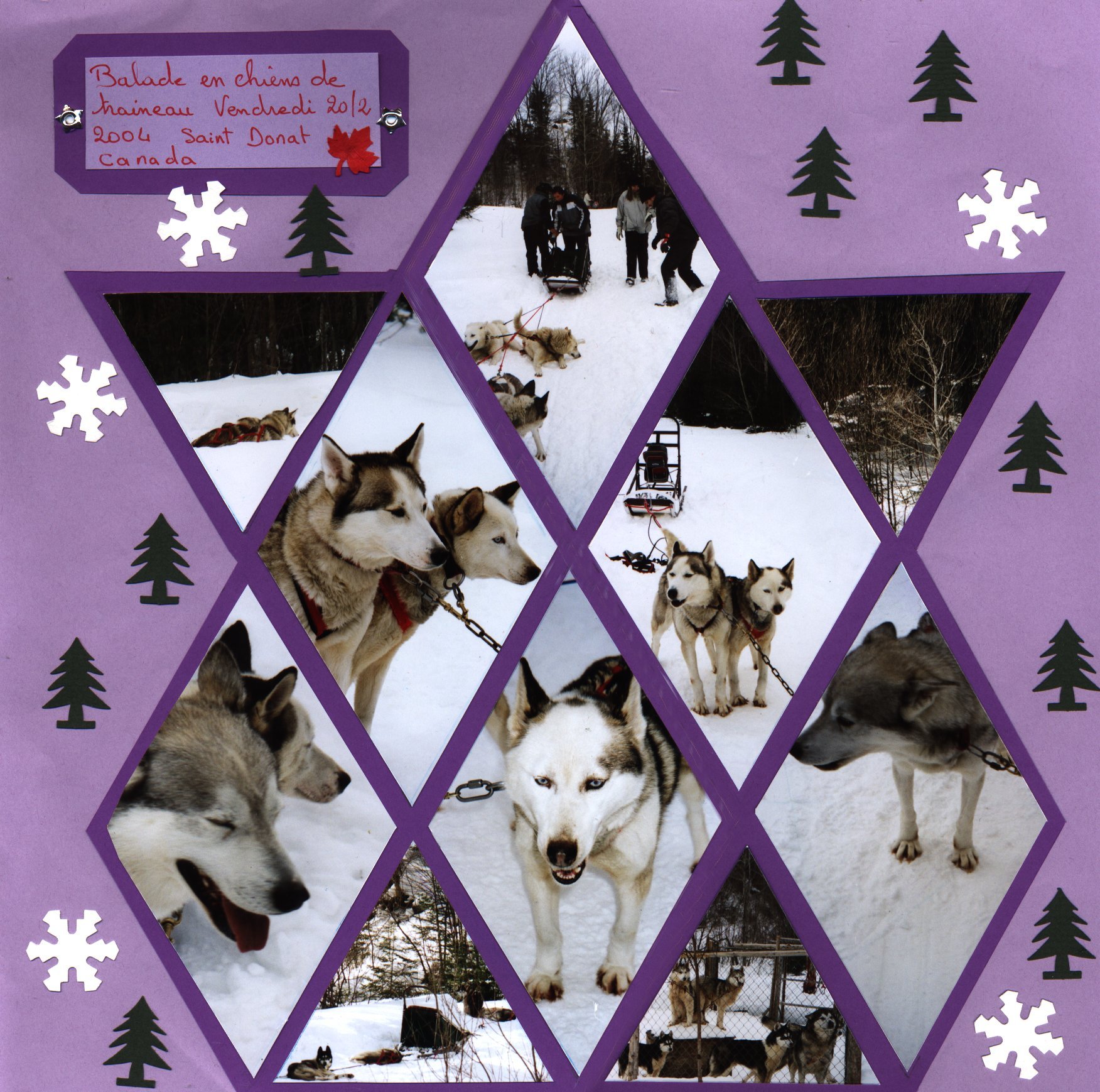 préparation pour la balade en traineau