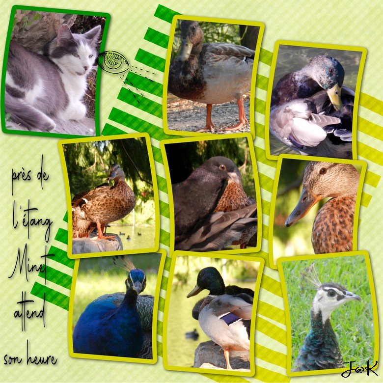 près de l'étang Minet attend son heure.jpg