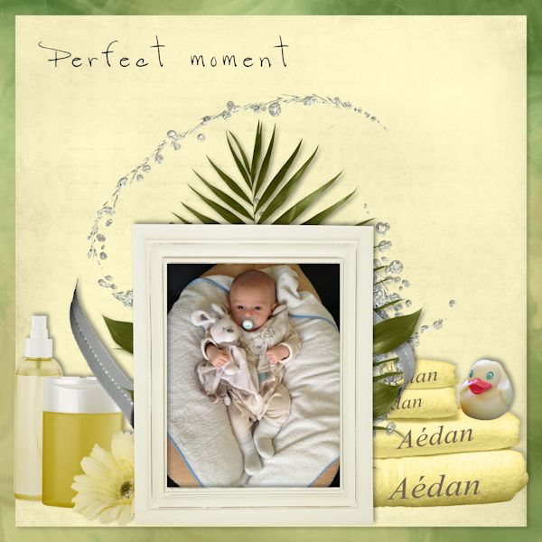 Priceless_Moments_de_SDesigns