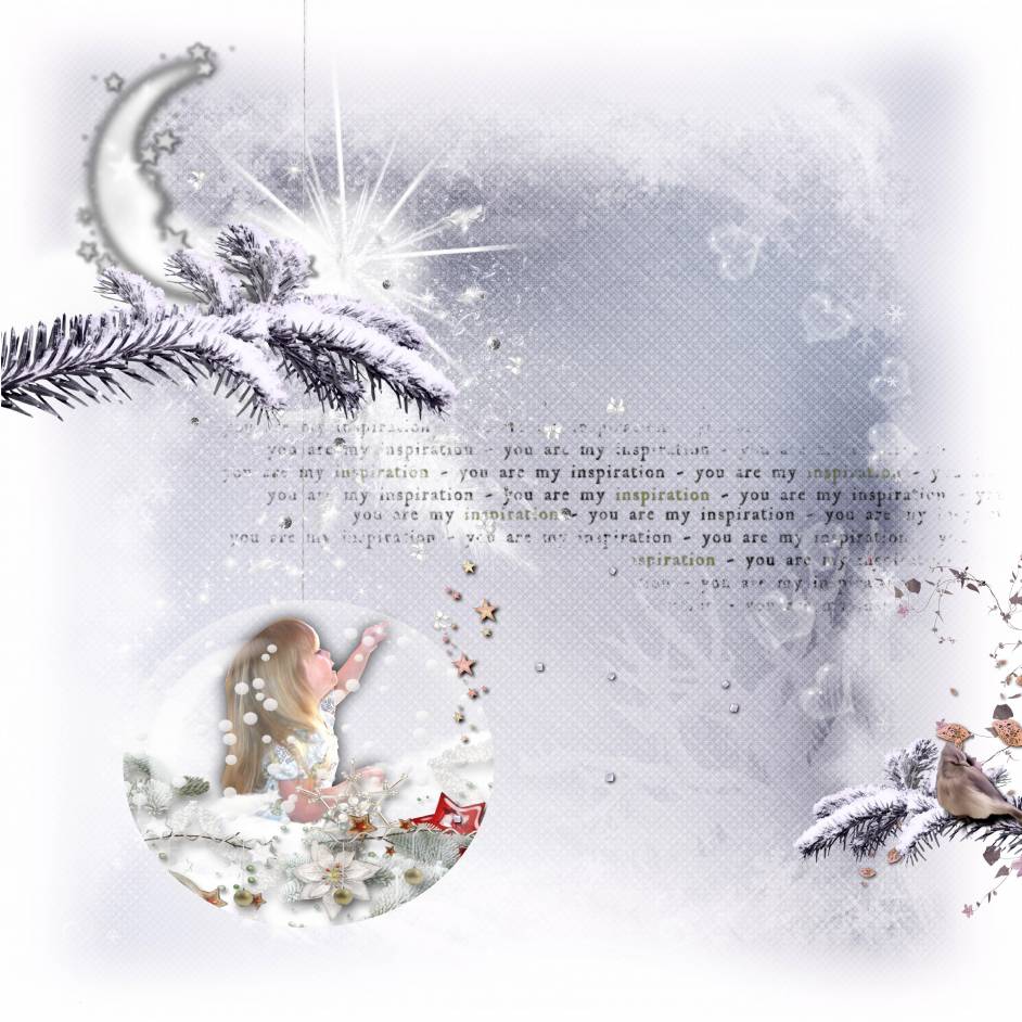 princesse des neiges de lau
