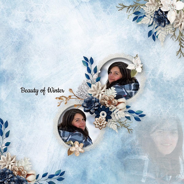 PRINCESSE DES NEIGES.jpg