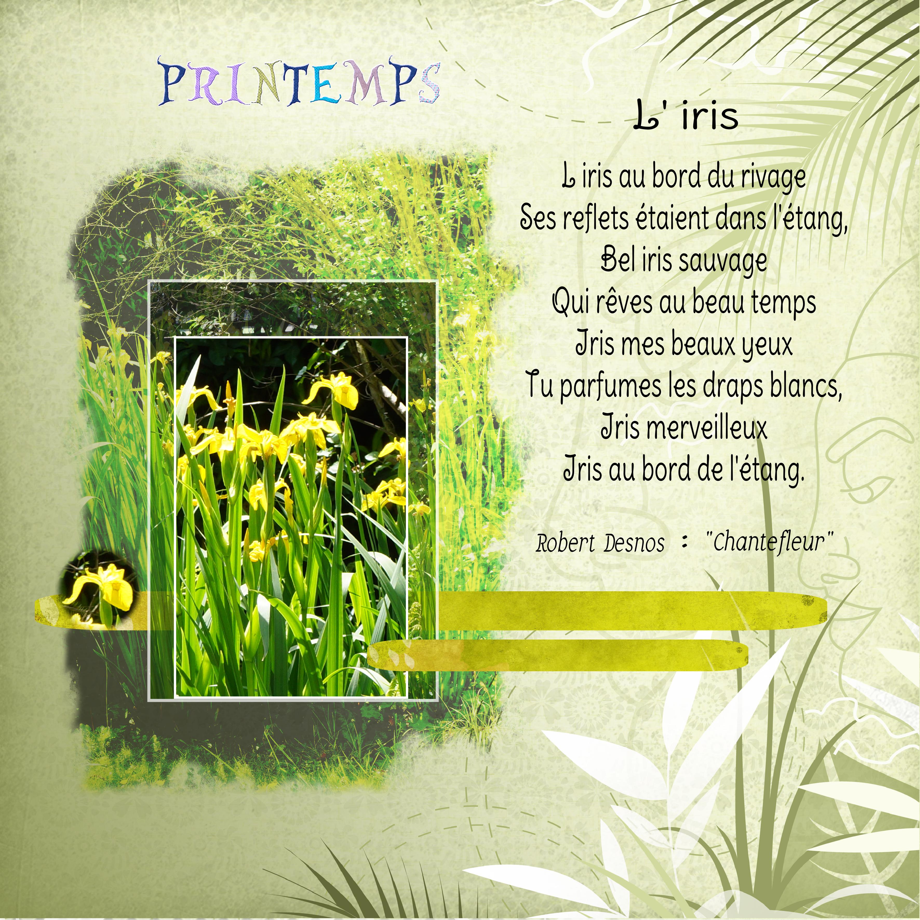 Printemps 18 03 2022.jpg