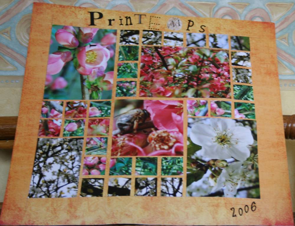 PRINTEMPS 2006