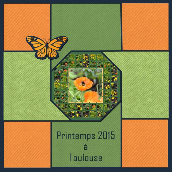 PRINTEMPS 2015 A TOULOUSE