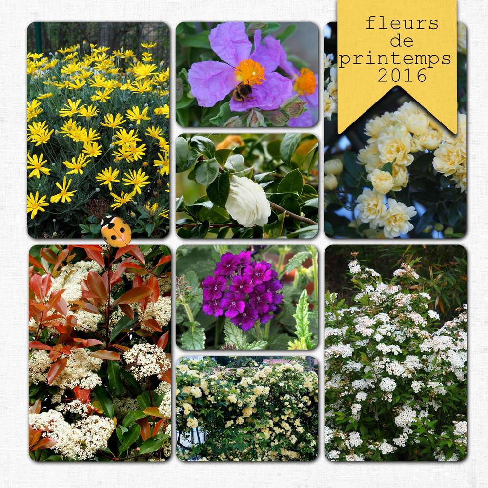 printemps 2016