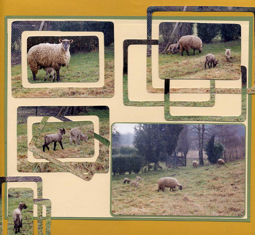 printemps à la campagne 2