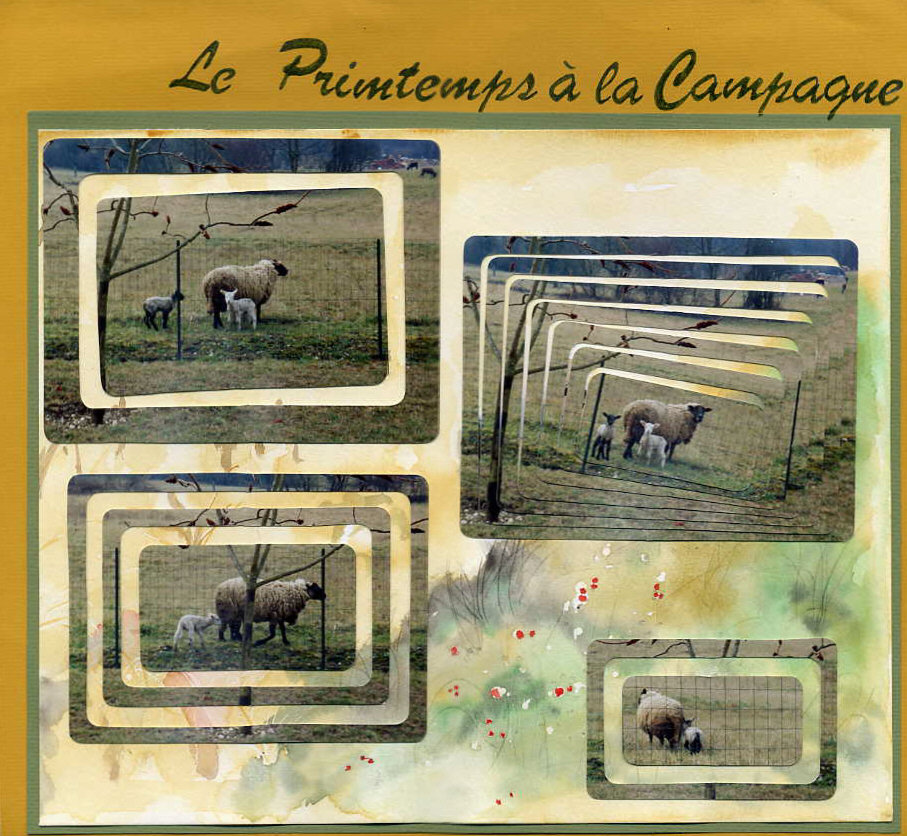 printemps à la campagne