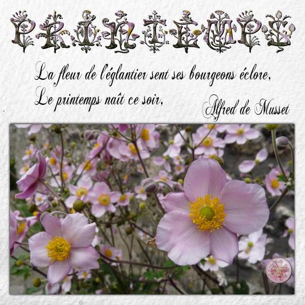 Printemps défi Laurette