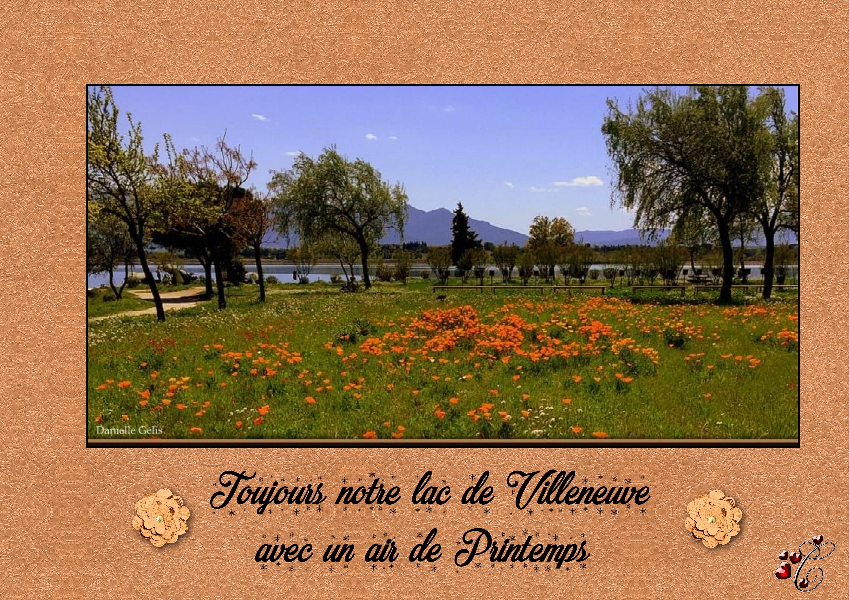 printemps sur le lac.jpg