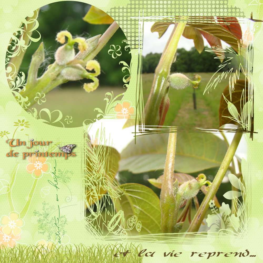 Printemps