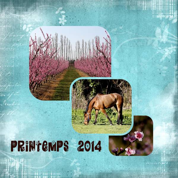 printemps2_2014