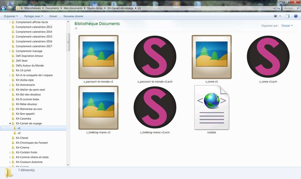 Problèmes Studio Scrap