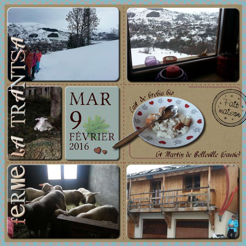 project_life_trantsa