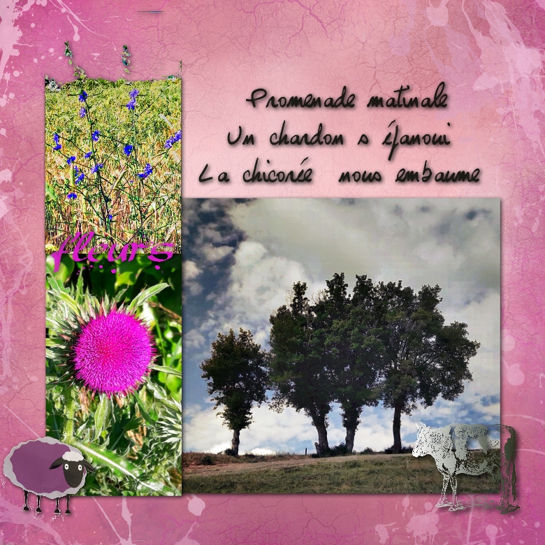 promanade matinale