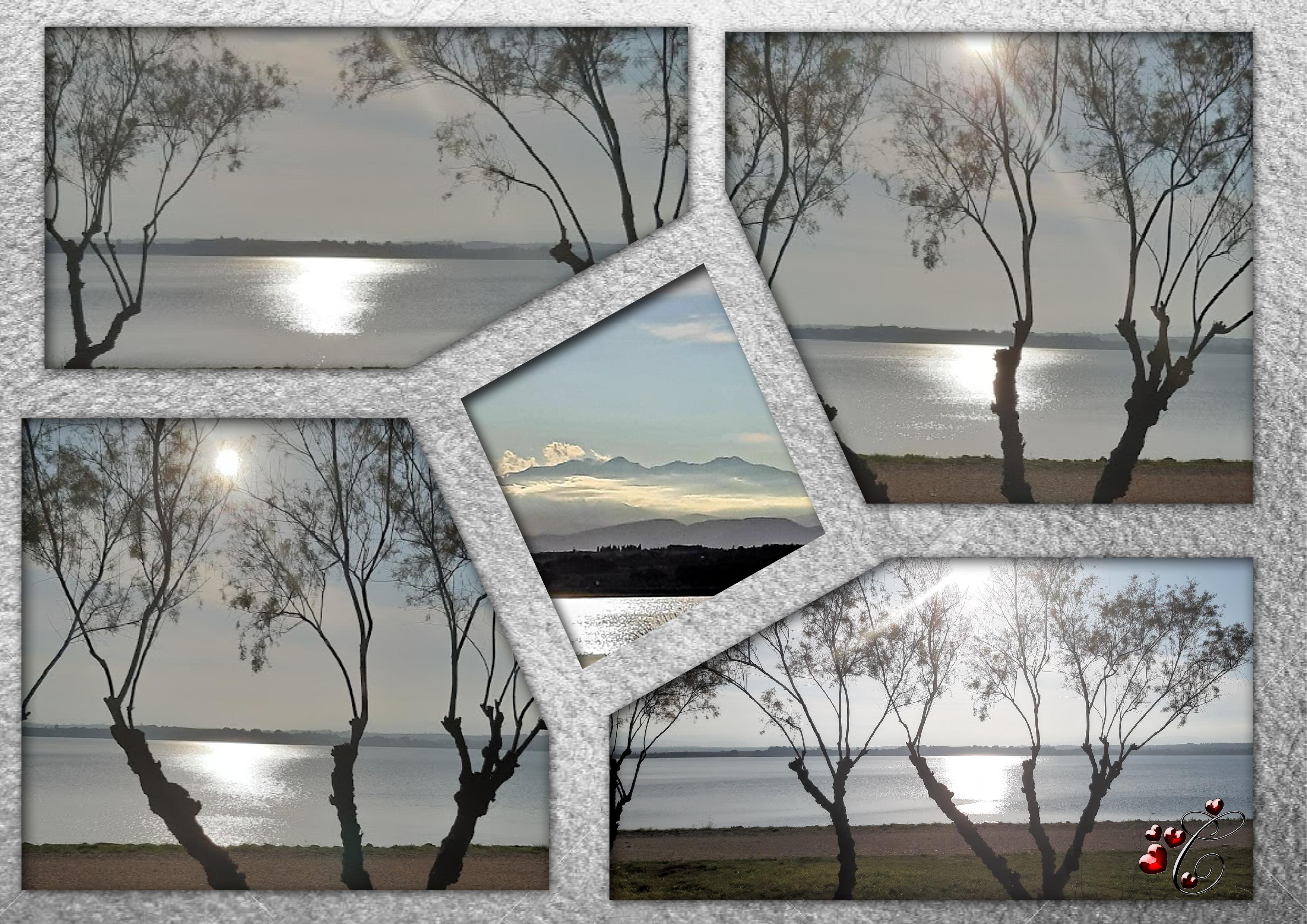 Promenade au lac .jpg