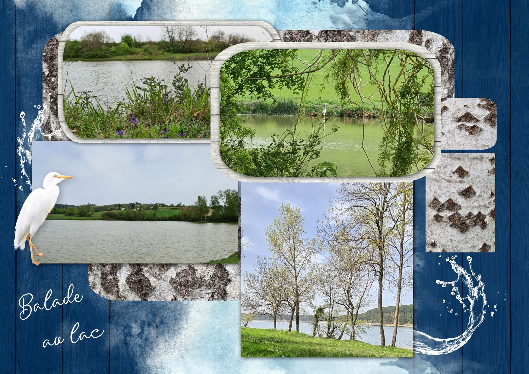 promenade au lac .jpg