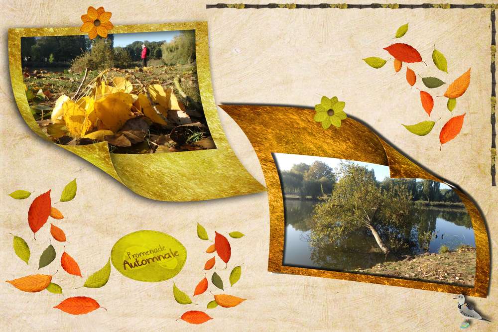 promenade automnale