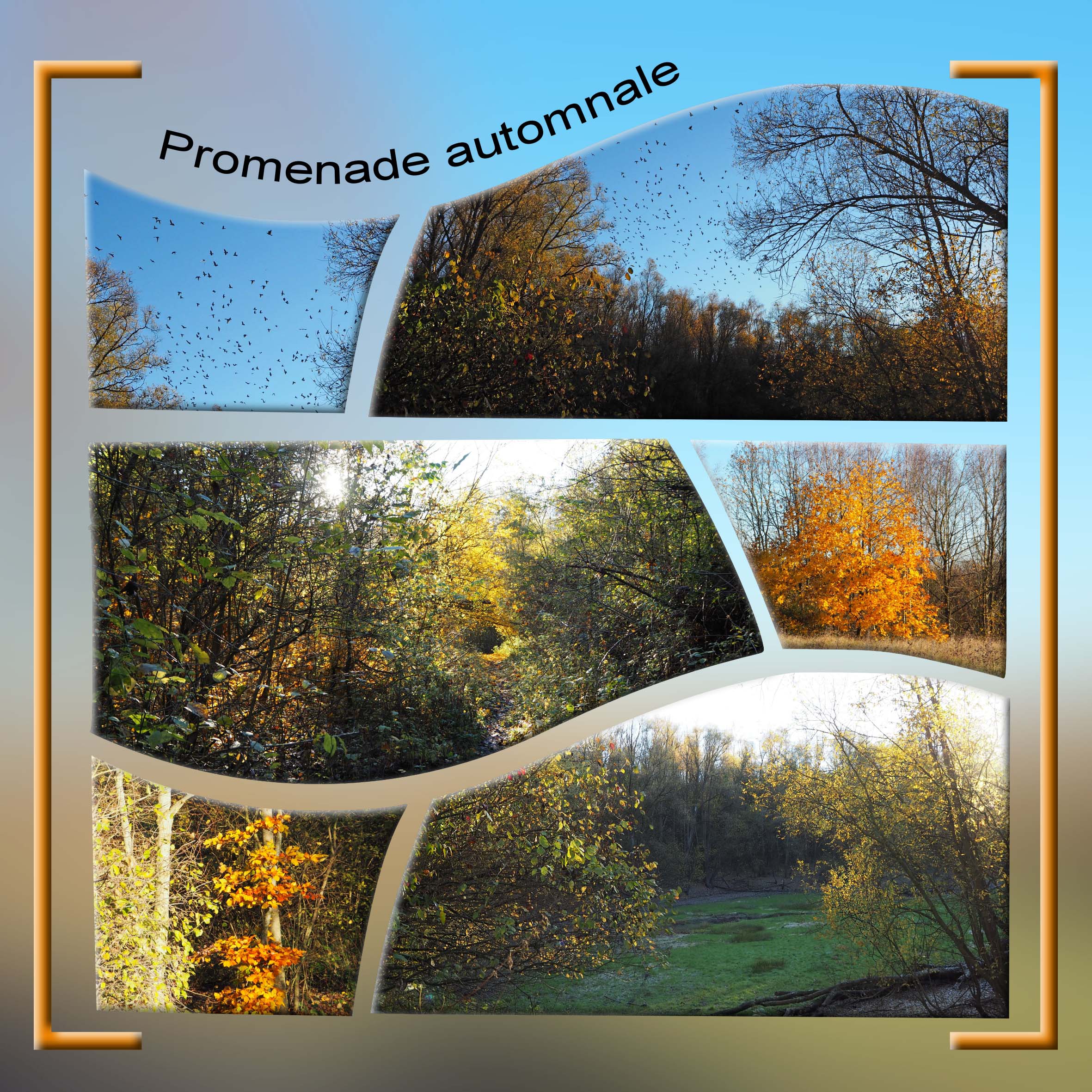 Promenade automnale