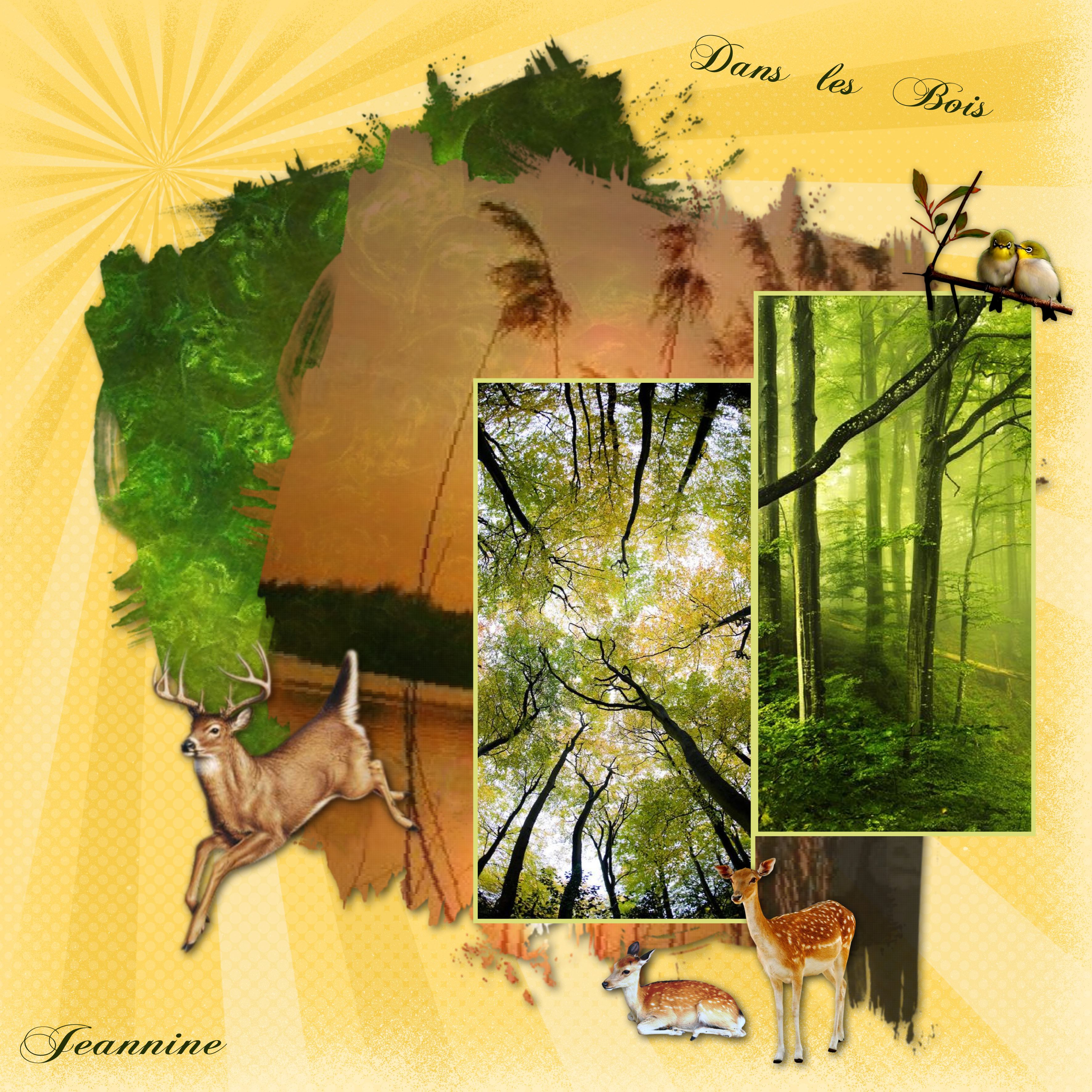 Promenade Dans les bois avec Jeannine .jpg