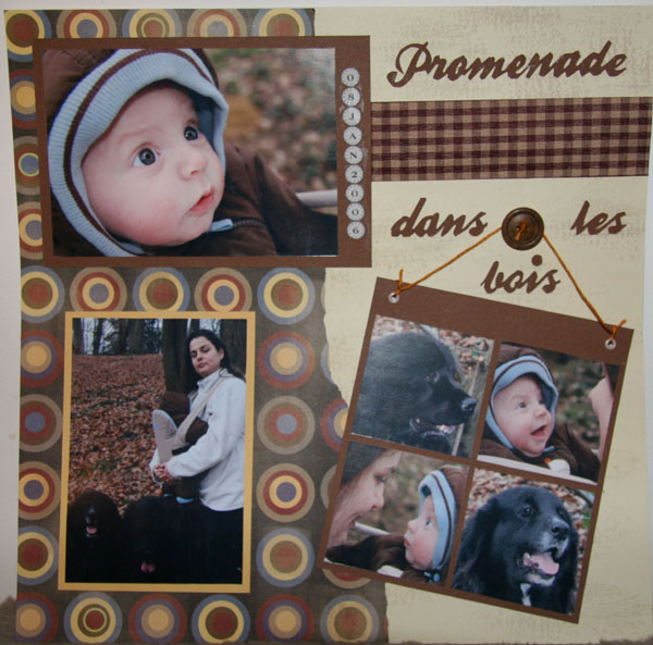 Promenade dans les bois