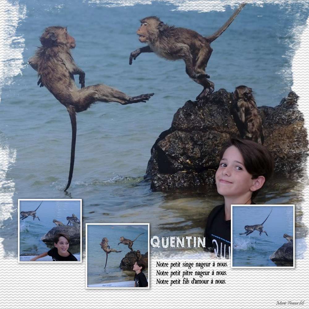 PROMENADE DE FIN DE JOURNEE