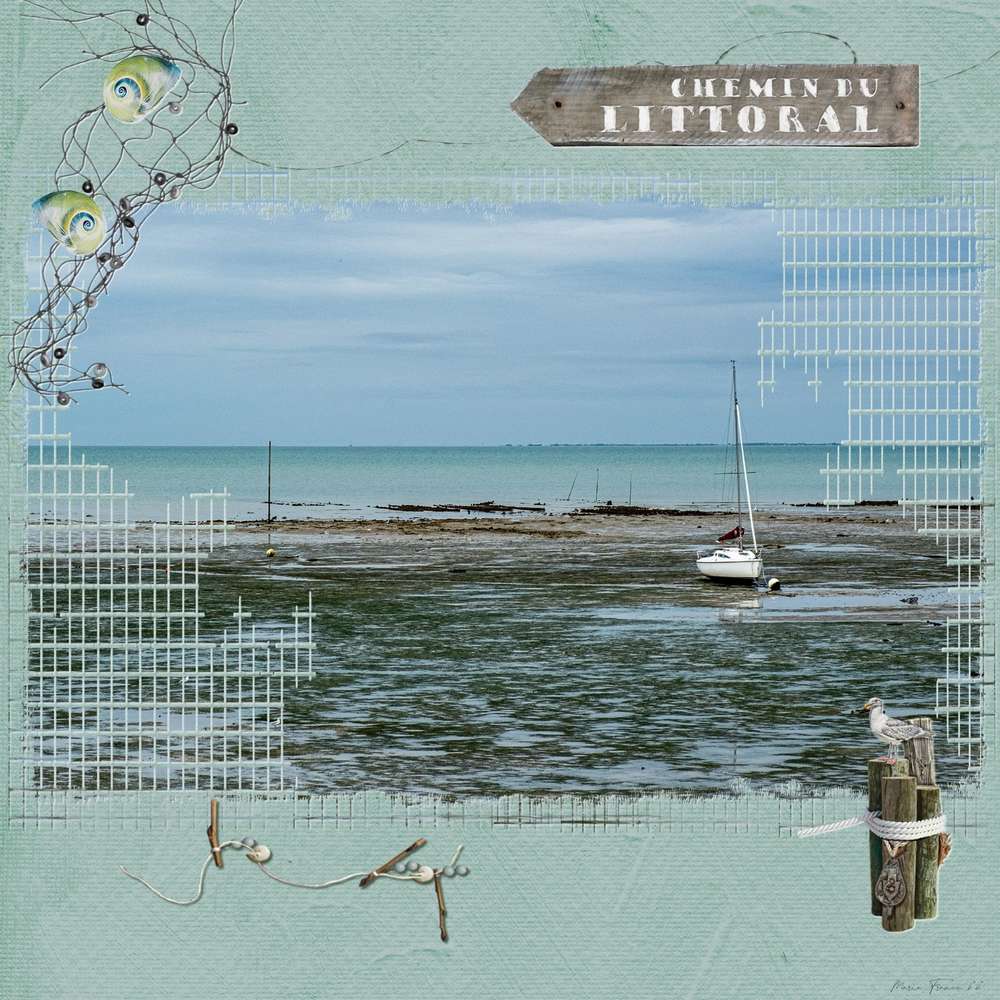 PROMENADE DU BORD DE MER