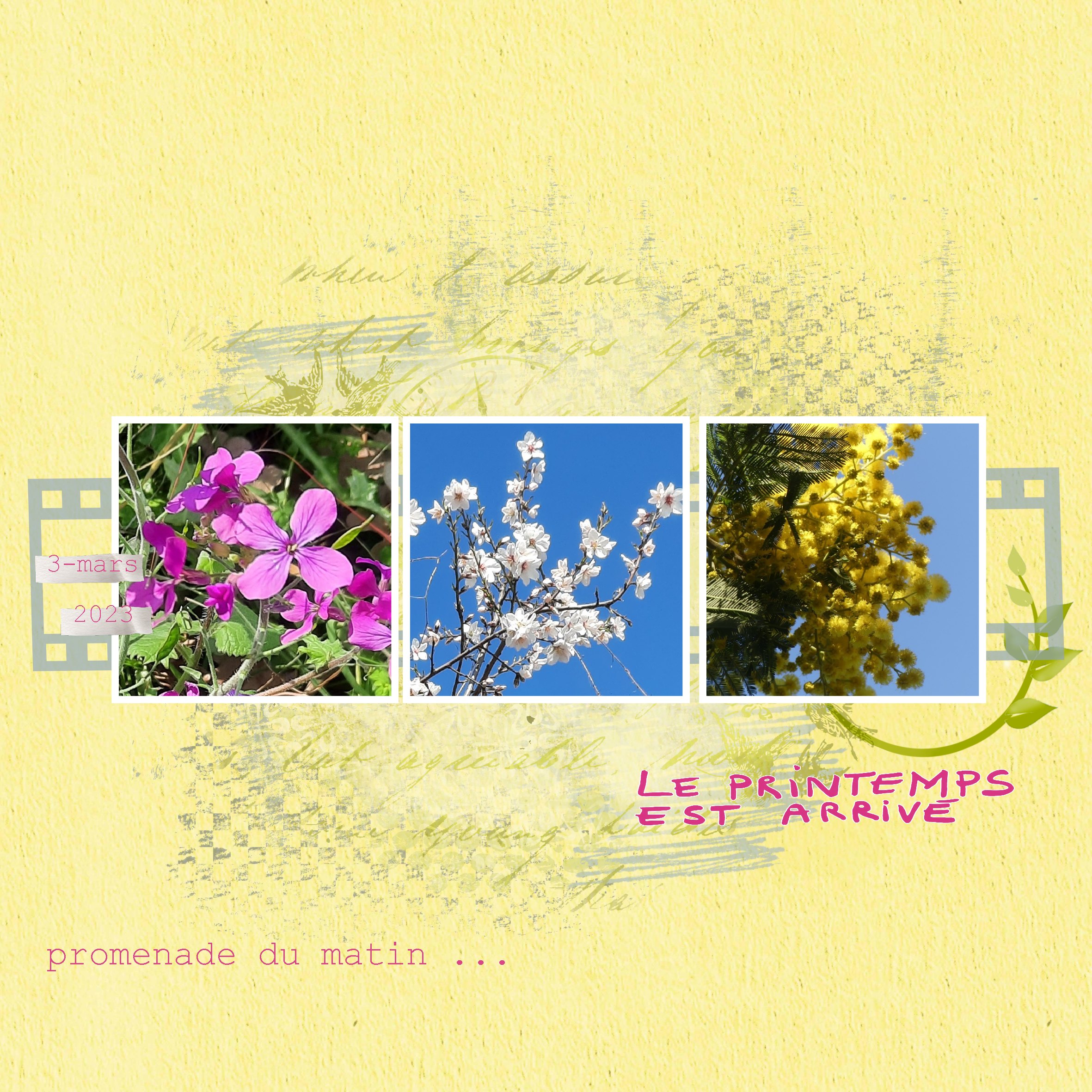 promenade du matin .jpg