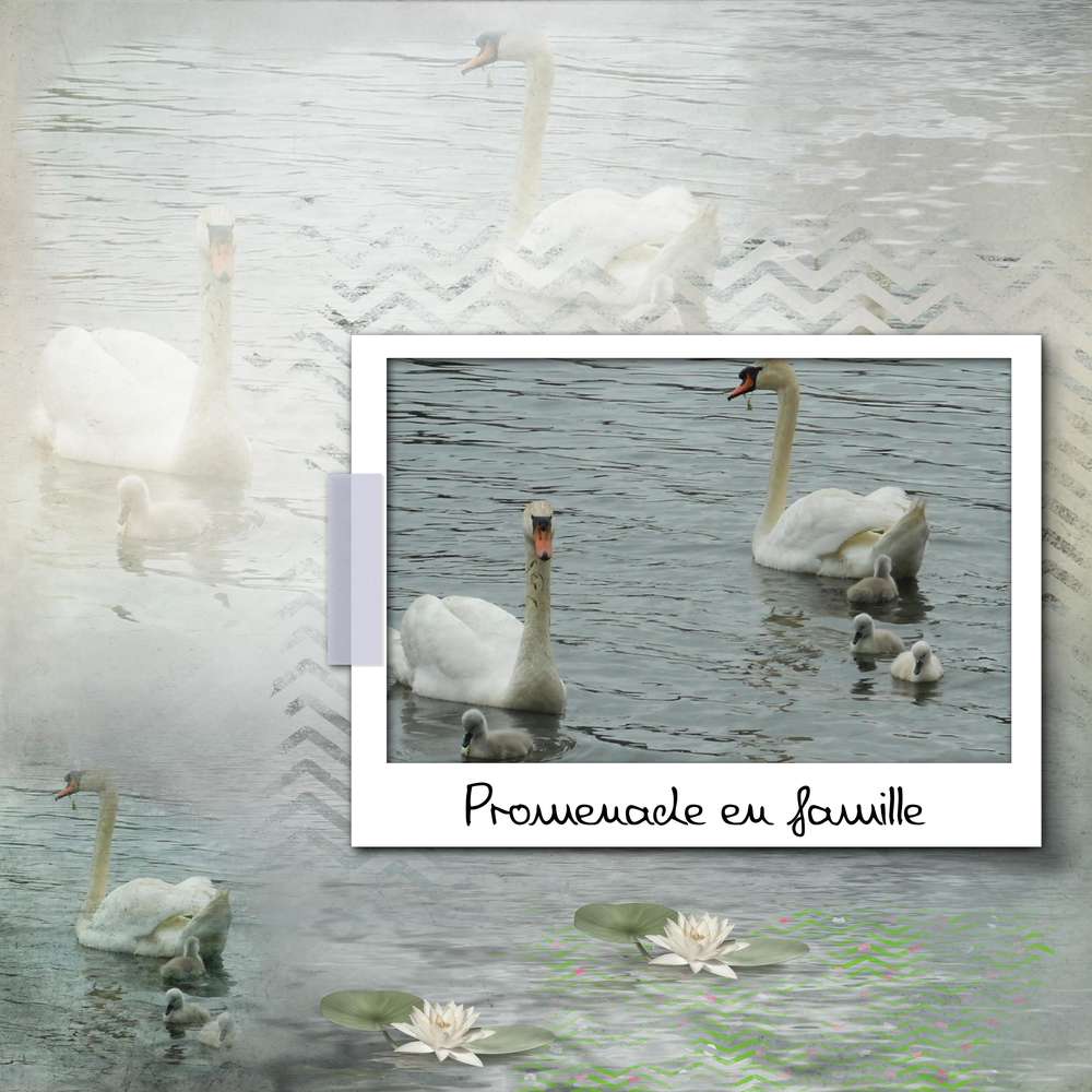 promenade en famille