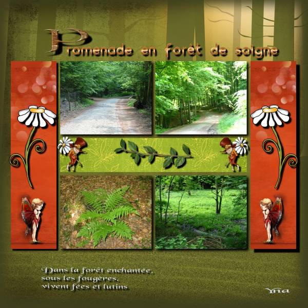 Promenade en Forêt de Soigne