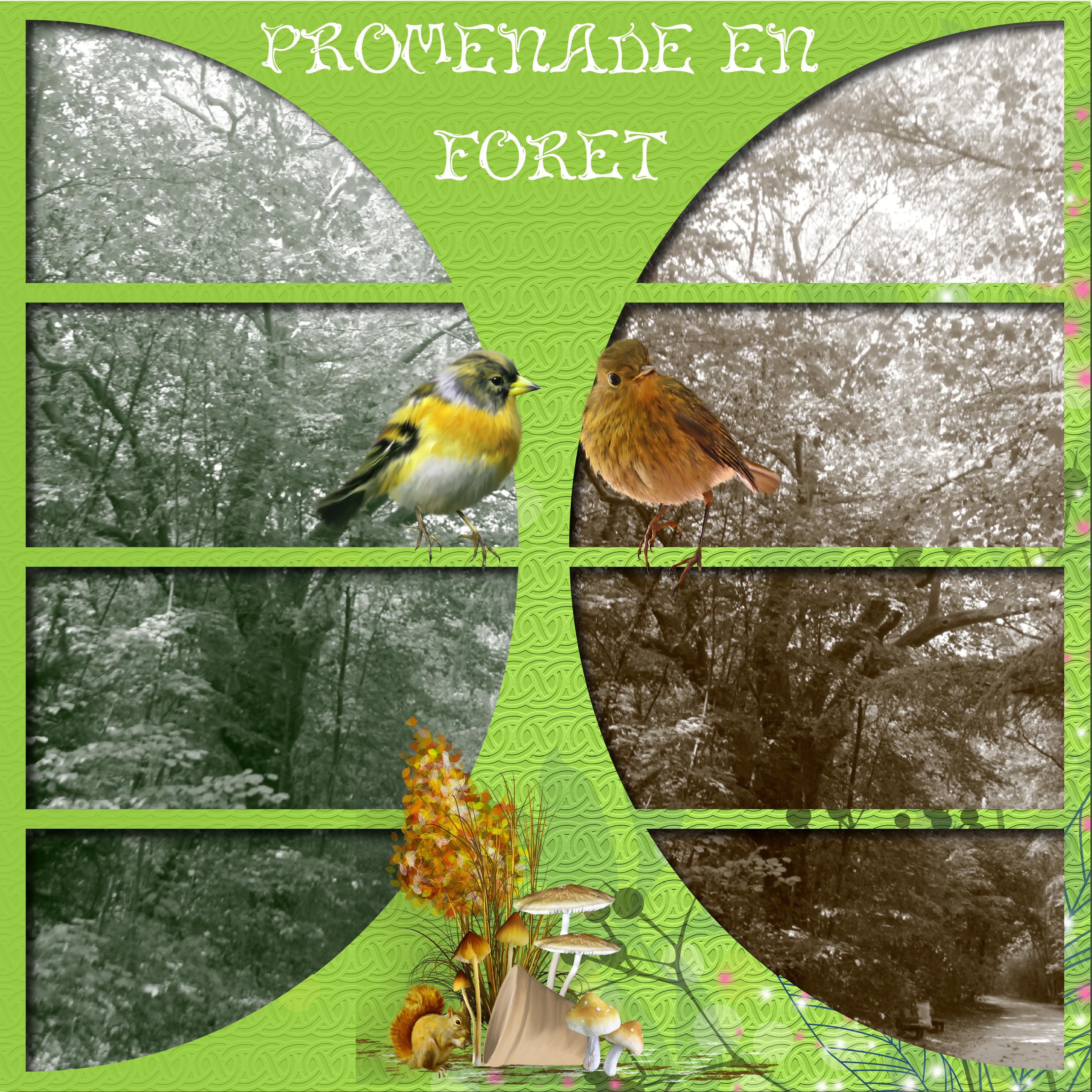 promenade en fôret.jpg