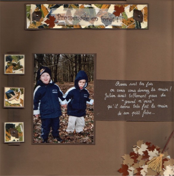 Promenade en forêt !