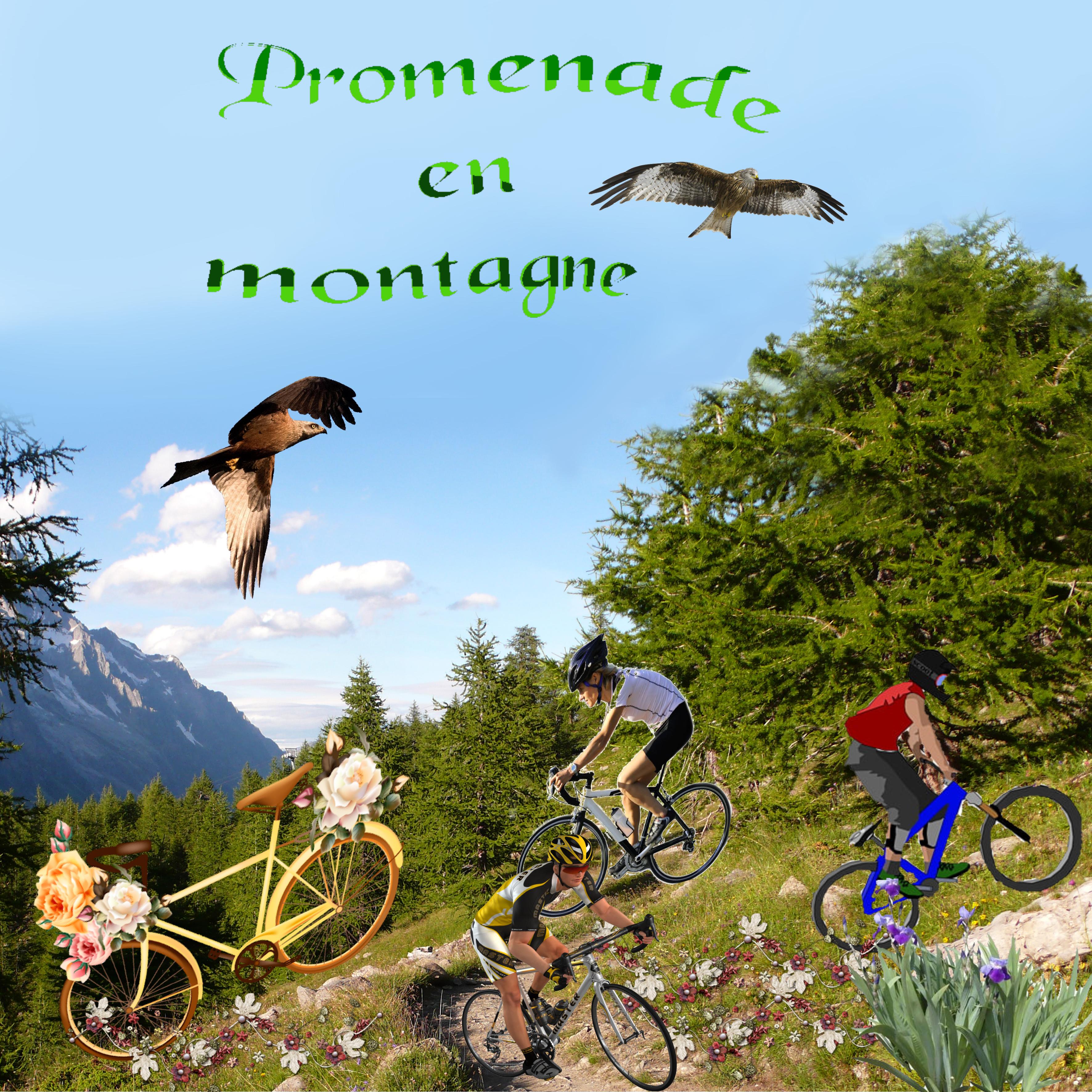 promenade en montagne.jpg
