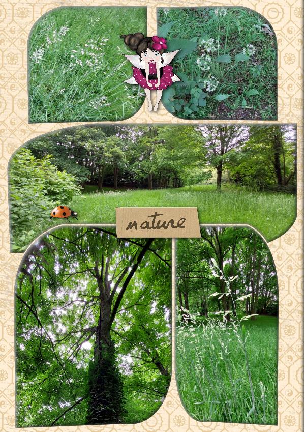 Promenade en sous-bois.2