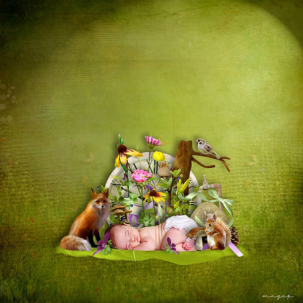 Promenade enchantée