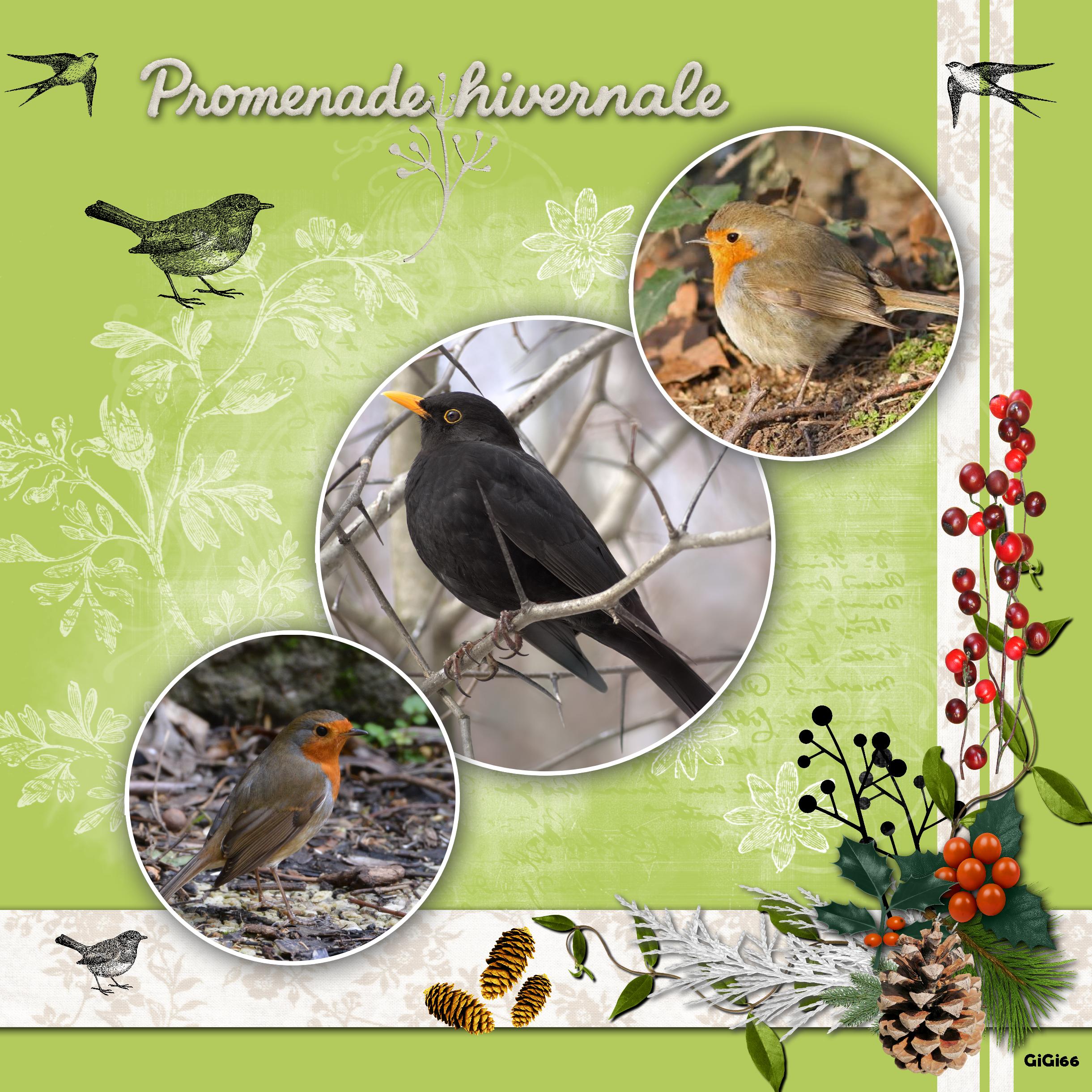 promenade hivernale.jpg