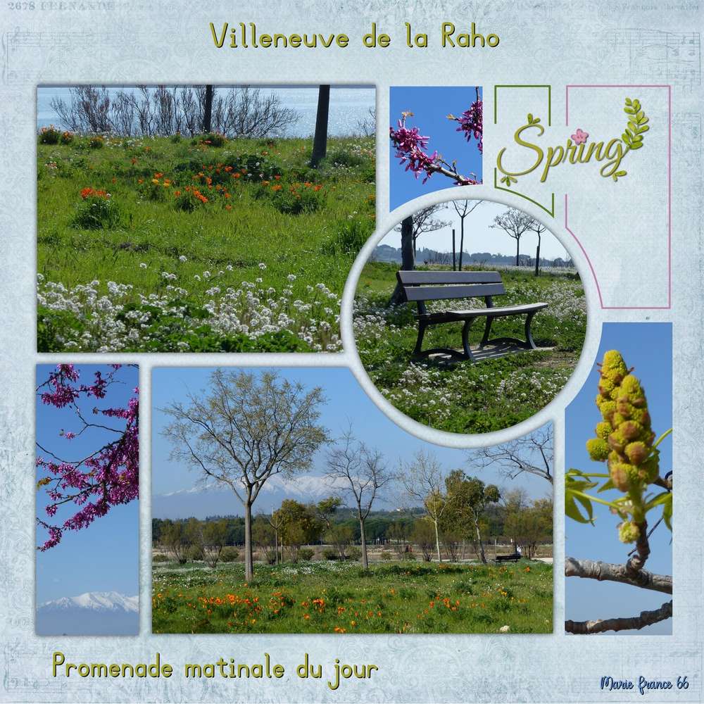 PROMENADE MATINALE DU JOUR