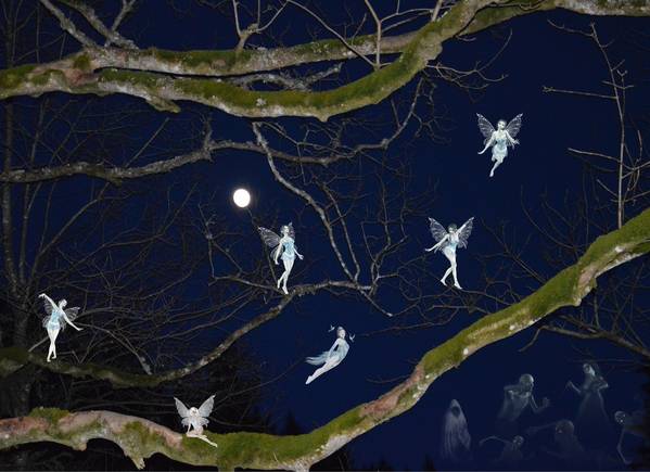 Promenons nous dans les bois un soir de pleine lune