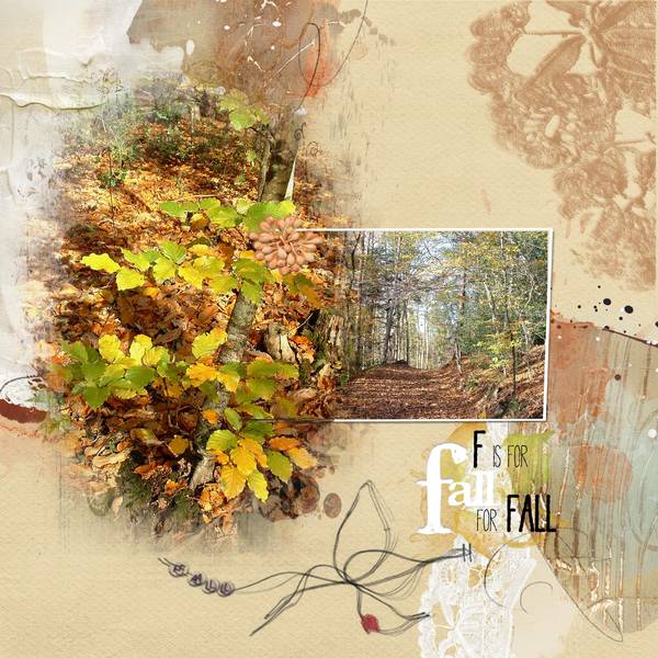 Promenons nous dans les bois...