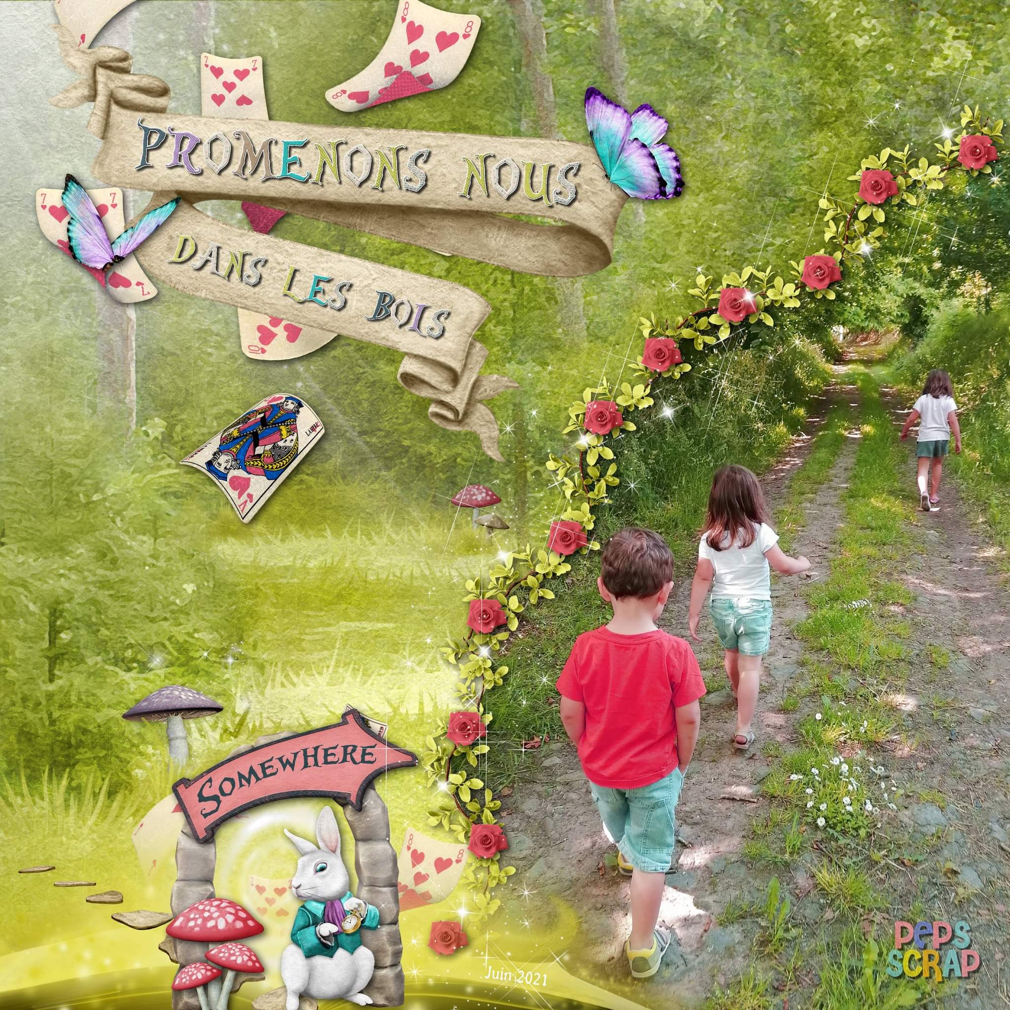 Promenons-nous dans les bois ?