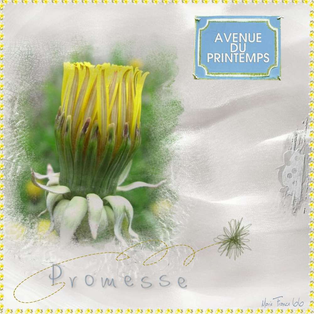 PROMESSE DE PRINTEMPS