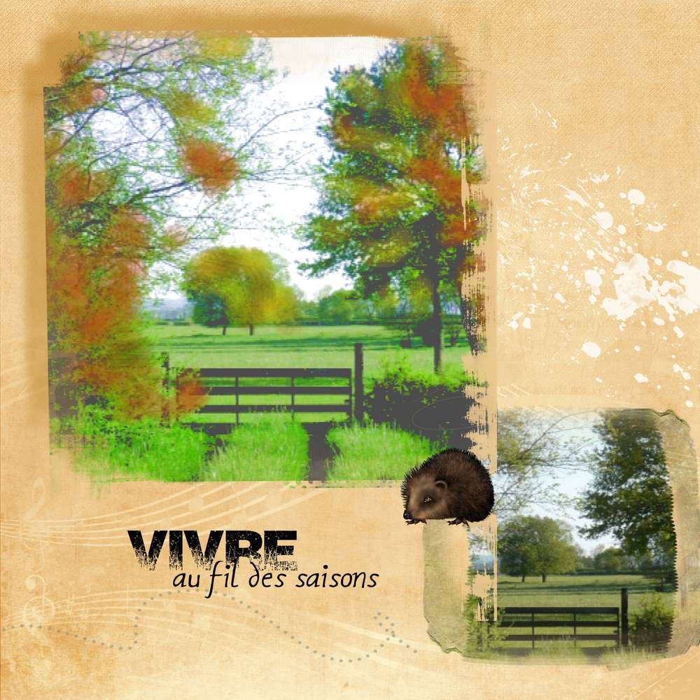 proposition de MOYSON